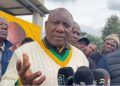 ANC Could Plummet to 20% Support if Ramaphosa is Removed, Survey Warns