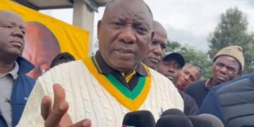 ANC Could Plummet to 20% Support if Ramaphosa is Removed, Survey Warns