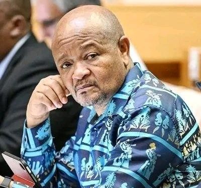 Nine Arrested in Standerton Drug Bust, R60 Million in Assets Seized