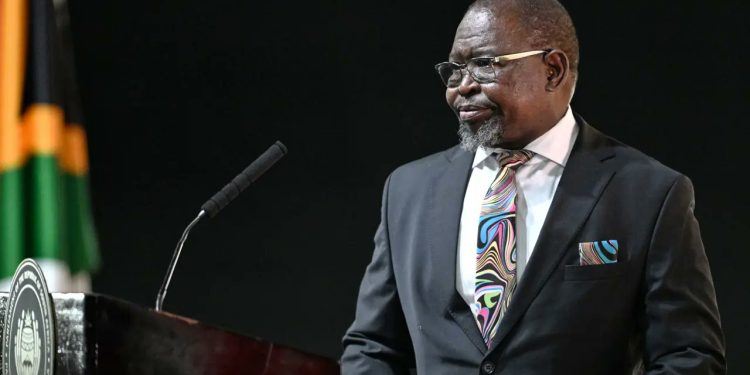 Godongwana Defends VAT Hike, Dismisses Opposition’s Legal Challenge as “Without Merit”