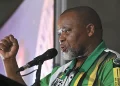 ANC National Chairperson Gwede Mantashe to Step Down in 2027