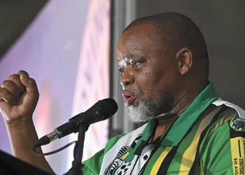 ANC National Chairperson Gwede Mantashe to Step Down in 2027