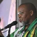 ANC National Chairperson Gwede Mantashe to Step Down in 2027