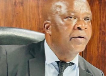 South African Politician Arrested for Illegal Firearm Possession in KwaZulu-Natal