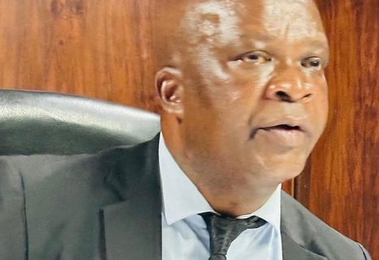 South African Politician Arrested for Illegal Firearm Possession in KwaZulu-Natal