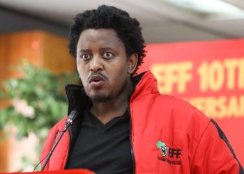 EFF MP Accuses Rise Mzansi Leader of Spreading Lies Over VAT Hike Stance