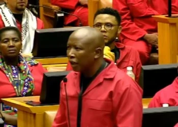 National Assembly Deputy Speaker to Refer EFF MPs’ Conduct to Speaker After Disruptions