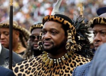 Dispute Over King Misuzulu’s Legitimacy Reignites as Princes Challenge Coronation Process