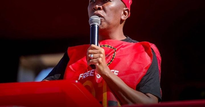 Malema Sparks Fury With “Stupid” Jab at MK Party and Zuma