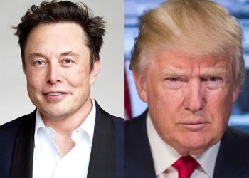 Elon Musk Exits US Government Role, Sparking Characteristic South African Social Media Reaction