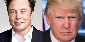 Elon Musk Exits US Government Role, Sparking Characteristic South African Social Media Reaction