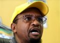ANC in Gauteng Takes Stand Against Illegal Immigration, Vows to Address Infrastructure Issues