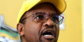 ANC in Gauteng Takes Stand Against Illegal Immigration, Vows to Address Infrastructure Issues