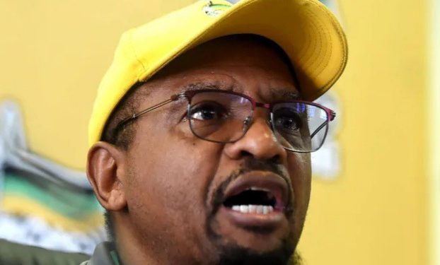 ANC in Gauteng Takes Stand Against Illegal Immigration, Vows to Address Infrastructure Issues
