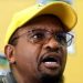 ANC in Gauteng Takes Stand Against Illegal Immigration, Vows to Address Infrastructure Issues