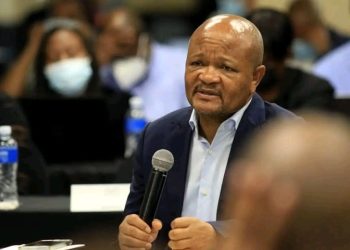 Police Minister Senzo Mchunu Condemns Allegations Against KZN Traditional Leader