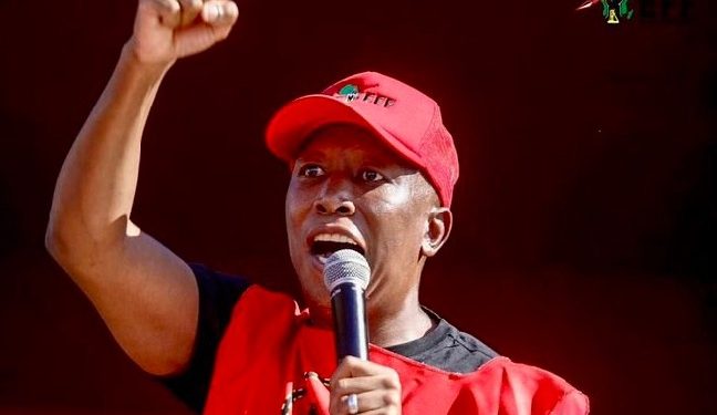 EFF Leader Julius Malema Ejected From Parliament in Heated Clash With Deputy Speaker