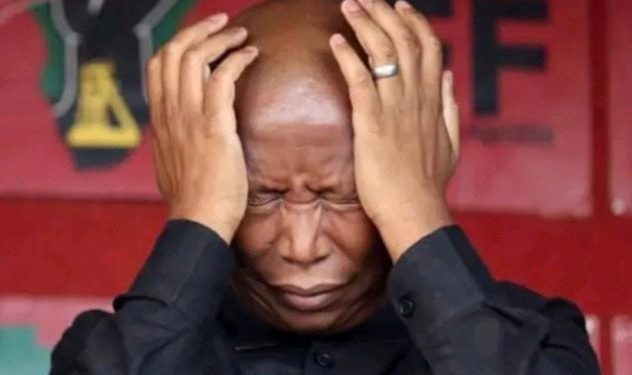 MK Party Extends Dominance in Mandeni as EFF Suffers Stunning Setback