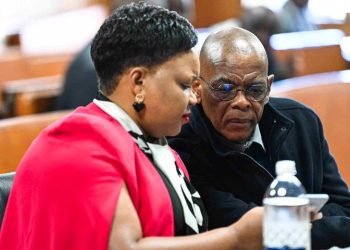 Hawks Investigator Questioned Over Cholota Extradition in Magashule Corruption Case