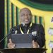 ANC’s Tshitereke Matibe Retains Vhembe Chairmanship Amid Contentious Conference