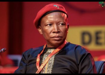 Malema Denied UK Visa, Misses Prestigious Cambridge Africa Conference