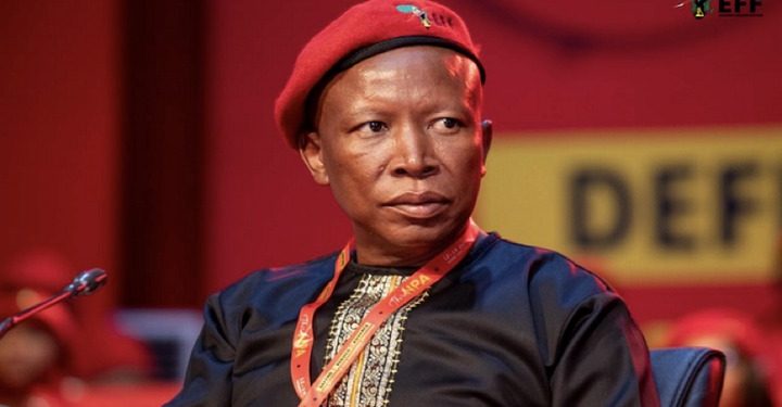 Malema Denied UK Visa, Misses Prestigious Cambridge Africa Conference