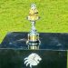 Betway Premiership Trophy Set for Grand Unveiling at Loftus Versfeld