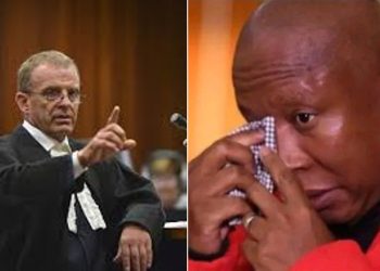 AfriForum Urges NPA to Charge Malema and Mbalula Over False Rape Allegations Against Limpopo Principal
