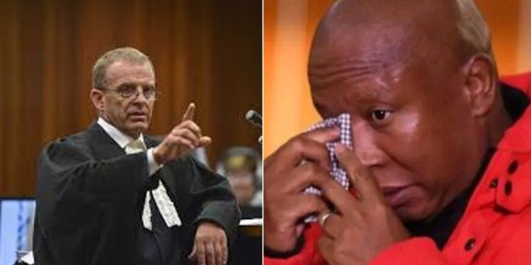 AfriForum Urges NPA to Charge Malema and Mbalula Over False Rape Allegations Against Limpopo Principal