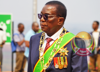 Suspended Zanu PF Member Godwin Gomwe’s Mother Abducted, Dumped in Norton