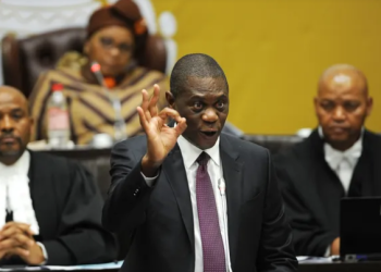 EFF Takes Government to Court Over Fuel Levy Hike, Calls It “Unconstitutional”