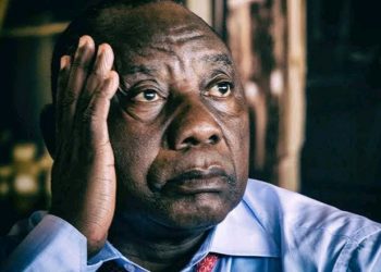 Patriotic Alliance Shakes ANC Stronghold in Northern Cape By-Election Upset