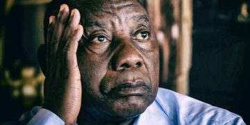 Patriotic Alliance Shakes ANC Stronghold in Northern Cape By-Election Upset