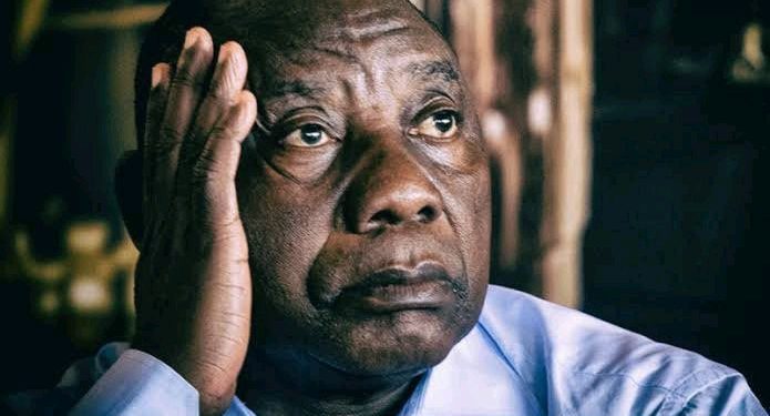 Patriotic Alliance Shakes ANC Stronghold in Northern Cape By-Election Upset