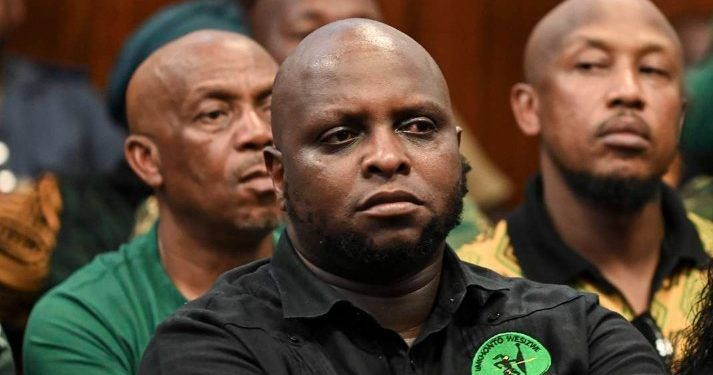 Internal Divisions Threaten uMkhonto weSizwe Party as Calls Grow to Remove Floyd Shivambu