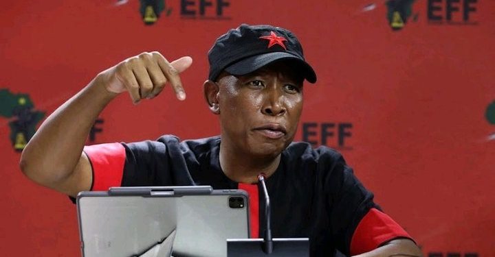 Court Clears Way for Disciplinary Action Against Malema After SONA Disruption