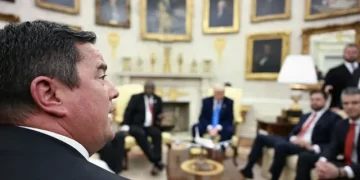 DA’s Steenhuisen Warns Trump: GNU Participation Aims to Block MK Party, EFF From Power