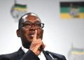 Gauteng Premier Takes Hard Line on Illegal Immigration