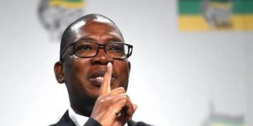 Gauteng Premier Takes Hard Line on Illegal Immigration