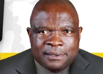 Political Violence Claims Another Life: IFP’s Deputy Chief Whip Gunned Down in Gauteng