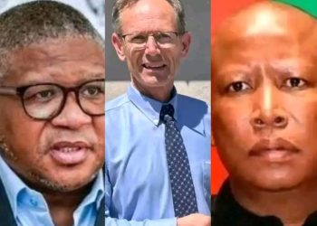 Bergview College Principal Files Charges Against ANC and EFF Leaders