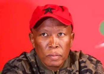 Malema Ejected From Parliament in Clash With Deputy Speaker