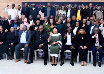 New Team Forms to Strengthen Pan-African Unity and Community Voices