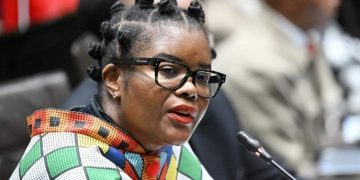 Ramaphosa Criticizes Minister’s Behavior in Parliament After Viral Video