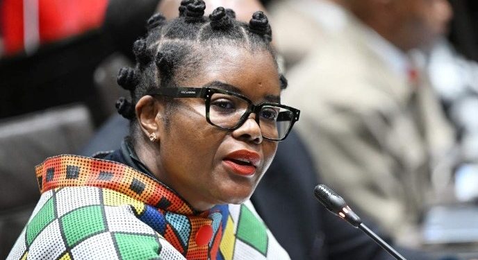 Ramaphosa Criticizes Minister’s Behavior in Parliament After Viral Video