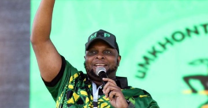 MK Party’s Mary Phadi Launches Scathing Attack on Busisiwe Mkhwebane, Exposing Party Rifts