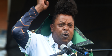 Papa Penny Defends Parliamentary Performance, Vows to Speak Tsonga in Future Sessions