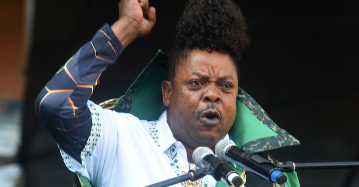 Papa Penny Defends Parliamentary Performance, Vows to Speak Tsonga in Future Sessions