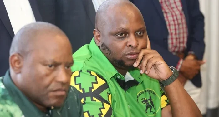 Floyd Shivambu to Resign from MK Party Amid Internal Disputes