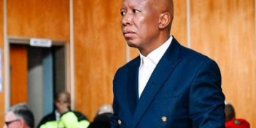 Prosecutor Declares Julius Malema Guilty in Firearm Case, Sparking Political Debate
